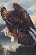 John James Audubon Golden Eagle Spain oil painting artist